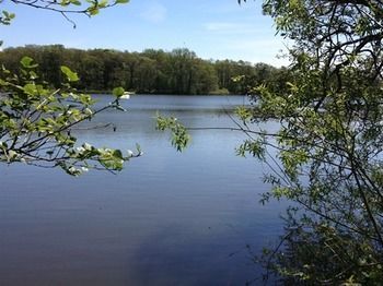 Cleveley Mere Luxury Waterside Lodges Scorton  Exterior photo